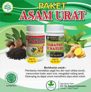 Illustration for article titled Nama Obat Untuk Penyakit Asam Urat
